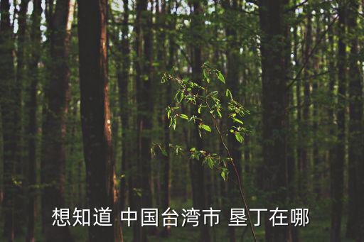 想知道 中國臺灣市 墾丁在哪