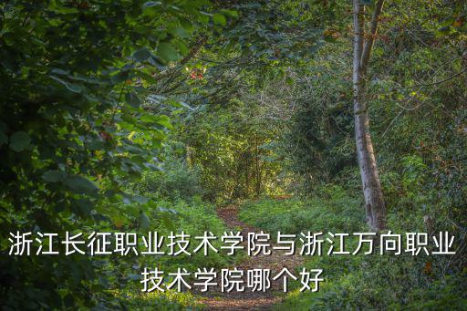 浙江長征職業技術學院與浙江萬向職業技術學院哪個好