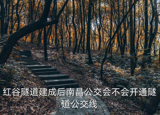 紅谷隧道建成后南昌公交會(huì)不會(huì)開通隧道公交線