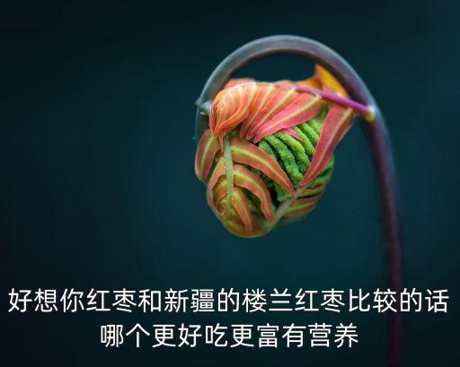 好想你紅棗和新疆的樓蘭紅棗比較的話哪個更好吃更富有營養