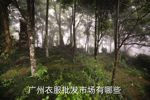 廣州衣服批發市場有哪些