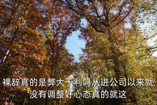 裸辭真的是弊大于利嗎從進公司以來就沒有調整好心態真的就這