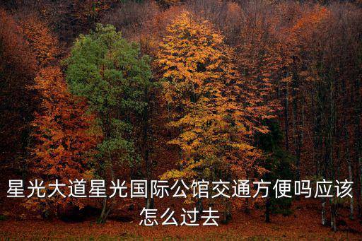 星光大道星光國際公館交通方便嗎應該怎么過去