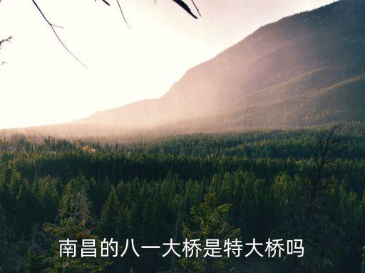 南昌的八一大橋是特大橋嗎