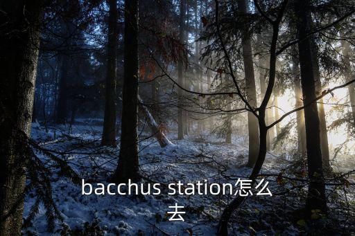 bacchus，bacchus station怎么去