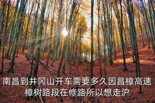 昌樟高速，請問從南昌到宜春走昌樟高速需要多少錢多少時間如果走320國道