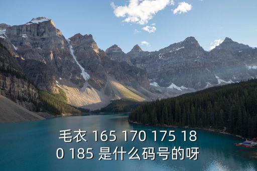 毛衣 165 170 175 180 185 是什么碼號的呀
