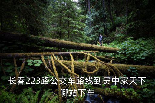 長春223路公交車路線到吳中家天下哪站下車