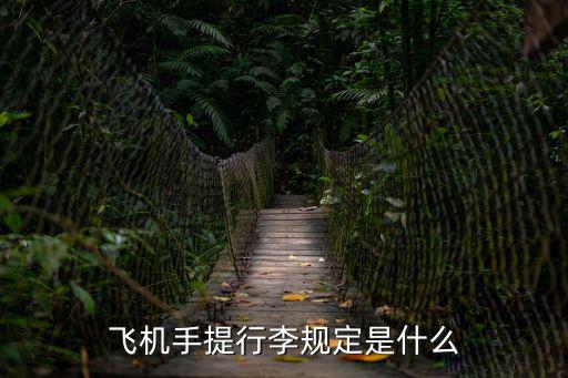 飛機手提行李規定是什么