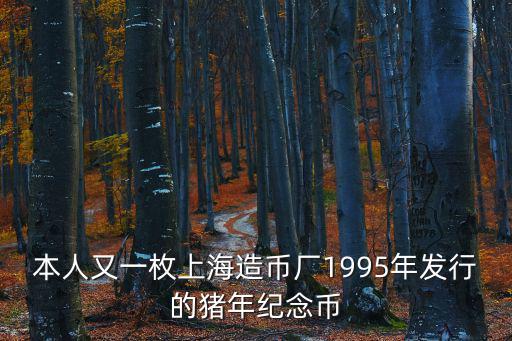 本人又一枚上海造幣廠1995年發(fā)行的豬年紀(jì)念幣