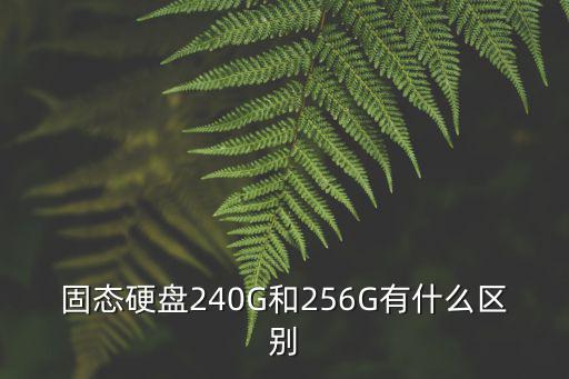 固態硬盤240G和256G有什么區別