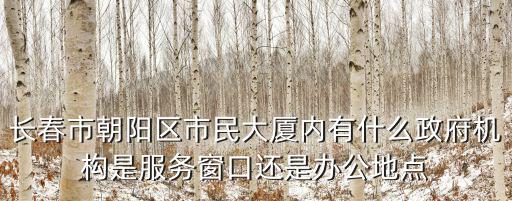 長春市朝陽區市民大廈內有什么政府機構是服務窗口還是辦公地點