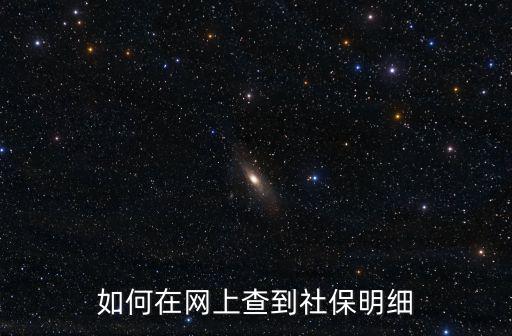 如何在網上查到社保明細