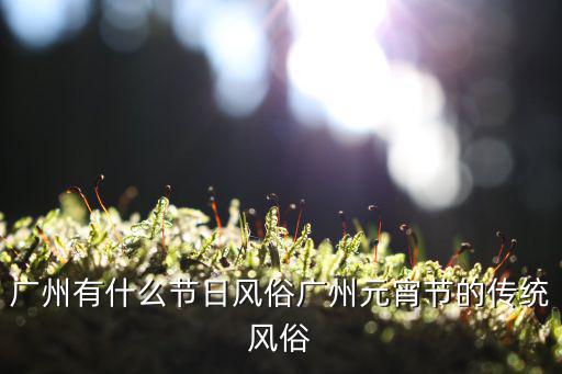 廣州有什么節日風俗廣州元宵節的傳統風俗