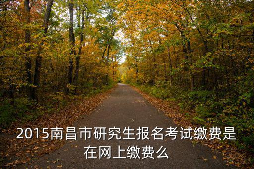 2015南昌市研究生報名考試繳費是在網上繳費么