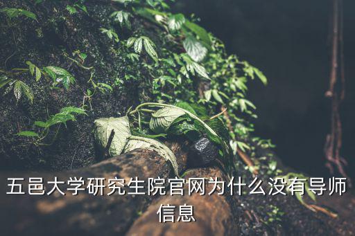 五邑大學研究生院官網為什么沒有導師信息