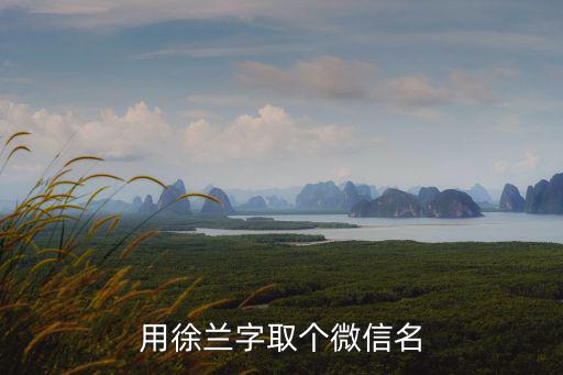 用徐蘭字取個微信名