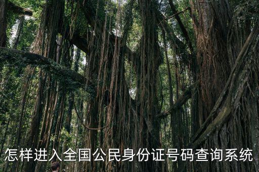 怎樣進入全國公民身份證號碼查詢系統