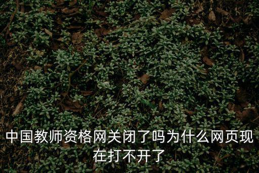 中國教師資格網(wǎng)關(guān)閉了嗎為什么網(wǎng)頁現(xiàn)在打不開了