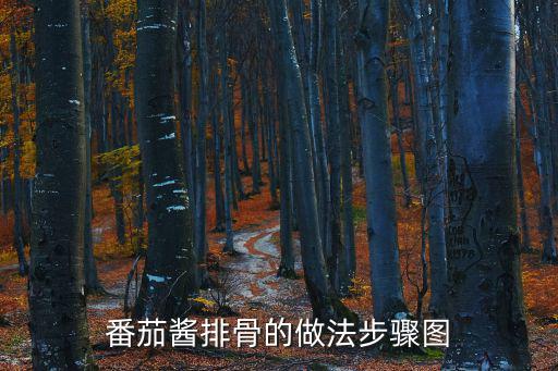番茄醬排骨的做法步驟圖