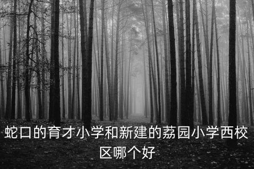 蛇口的育才小學(xué)和新建的荔園小學(xué)西校區(qū)哪個(gè)好