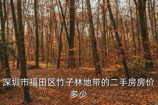 深圳市福田區竹子林地帶的二手房房價多少