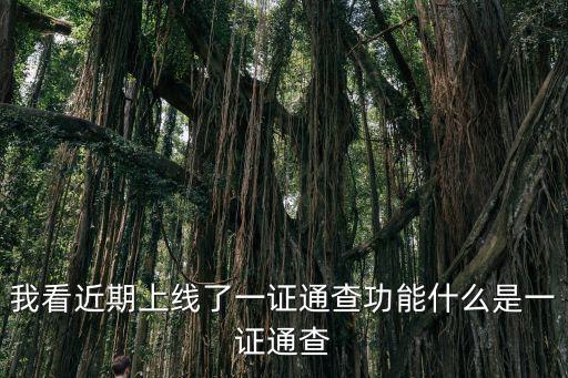 我看近期上線了一證通查功能什么是一證通查
