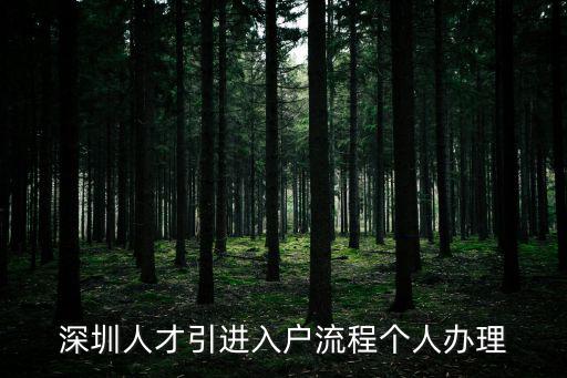 深圳人才引進入戶流程個人辦理