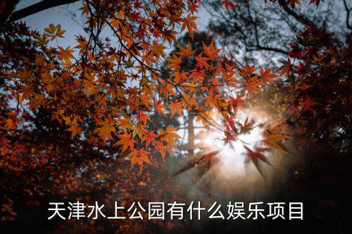 天津水上公園有什么娛樂項目
