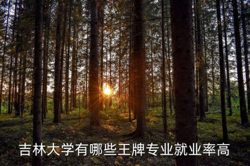 吉林大學就業(yè)，吉林大學本科畢業(yè)生就業(yè)情況如何