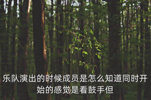 樂隊演出的時候成員是怎么知道同時開始的感覺是看鼓手但