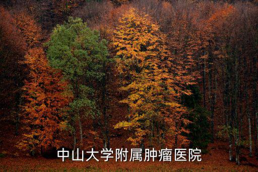 中山大學附屬腫瘤醫院