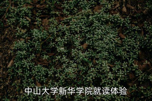 中山大學新華學院就讀體驗