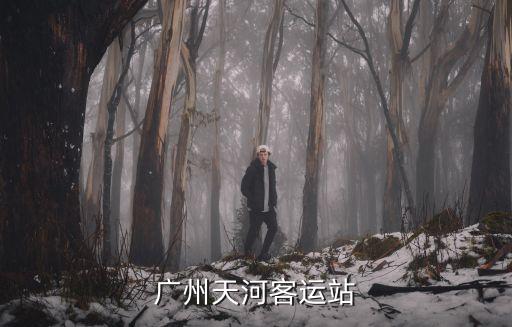 廣州天河客運站