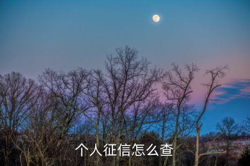 個人征信怎么查