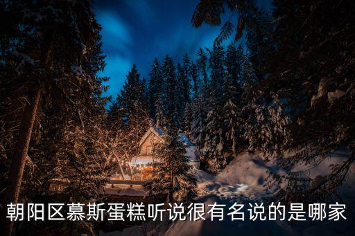 薇薇安蛋糕，朝陽區慕斯蛋糕聽說很有名說的是哪家
