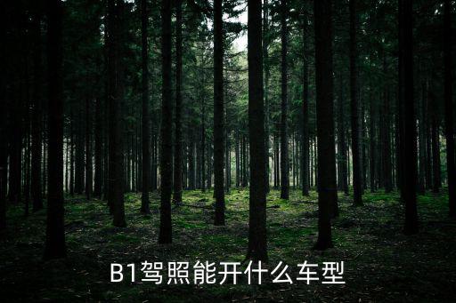 B1駕照能開什么車型
