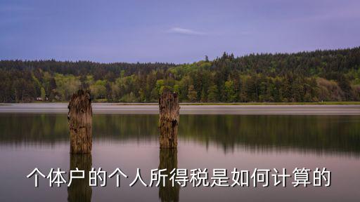 個體戶的個人所得稅是如何計算的