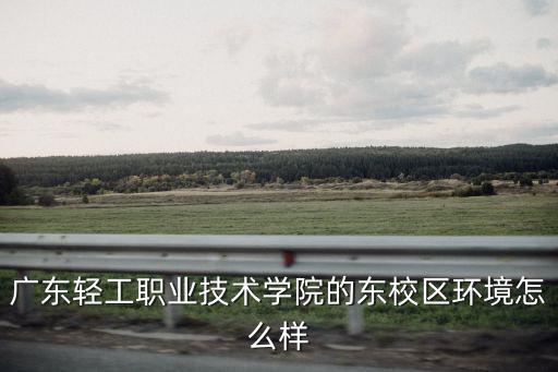 廣東輕工職業技術學院的東校區環境怎么樣