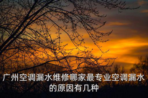 廣州空調漏水維修哪家最專業空調漏水的原因有幾種
