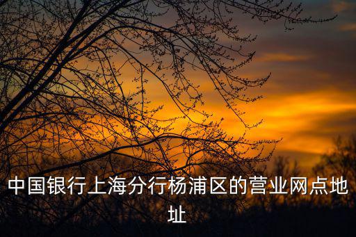 中國銀行上海分行楊浦區(qū)的營業(yè)網點地址