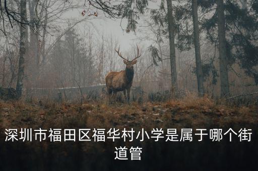 深圳市福田區福華村小學是屬于哪個街道管