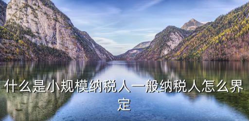 什么是小規模納稅人一般納稅人怎么界定
