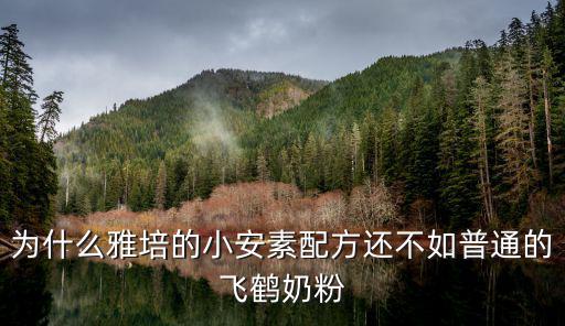 為什么雅培的小安素配方還不如普通的飛鶴奶粉