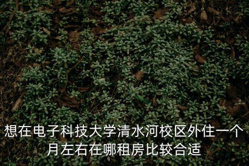 想在電子科技大學清水河校區外住一個月左右在哪租房比較合適