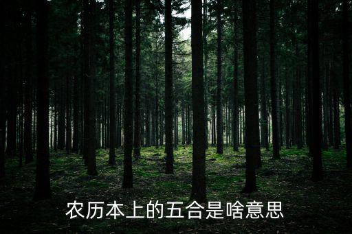 農歷本上的五合是啥意思