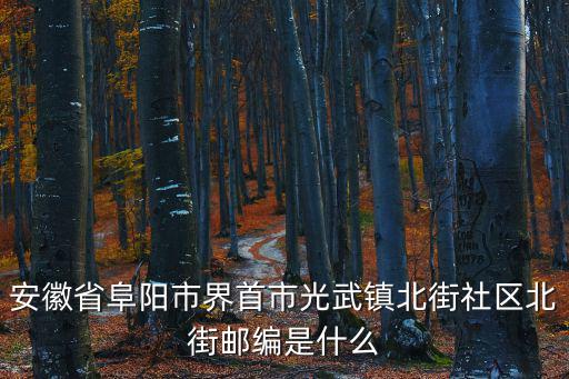 安徽省阜陽市界首市光武鎮北街社區北街郵編是什么
