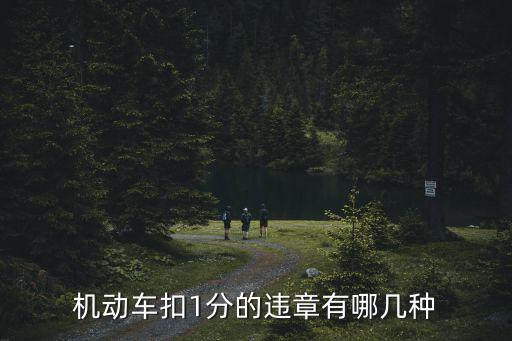 扣1分的違章有哪幾種，機動車扣1分的違章有哪幾種