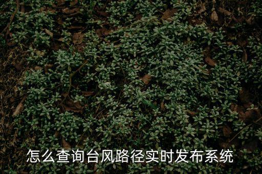 怎么查詢臺風路徑實時發布系統