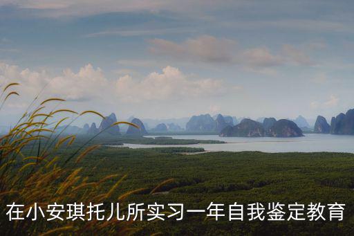 在小安琪托兒所實習一年自我鑒定教育